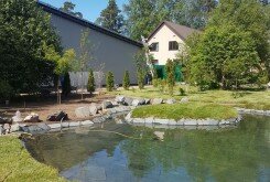 японский сад с водоемом