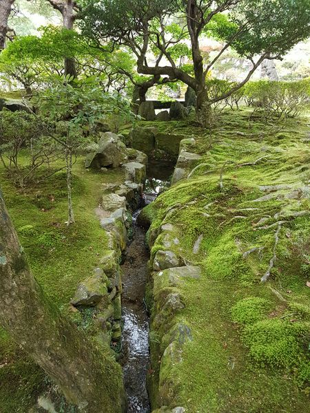 Устройство японского сада