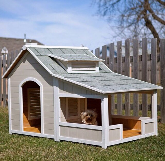 домик для собаки на даче